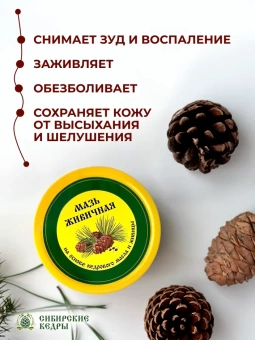 Мазь живичная