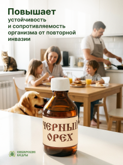 Черный орех