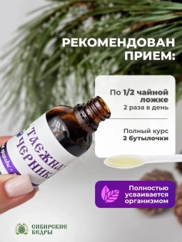 Таёжная черника