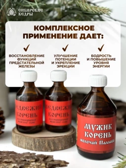 Медвежий корень