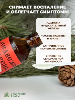 Медвежий корень